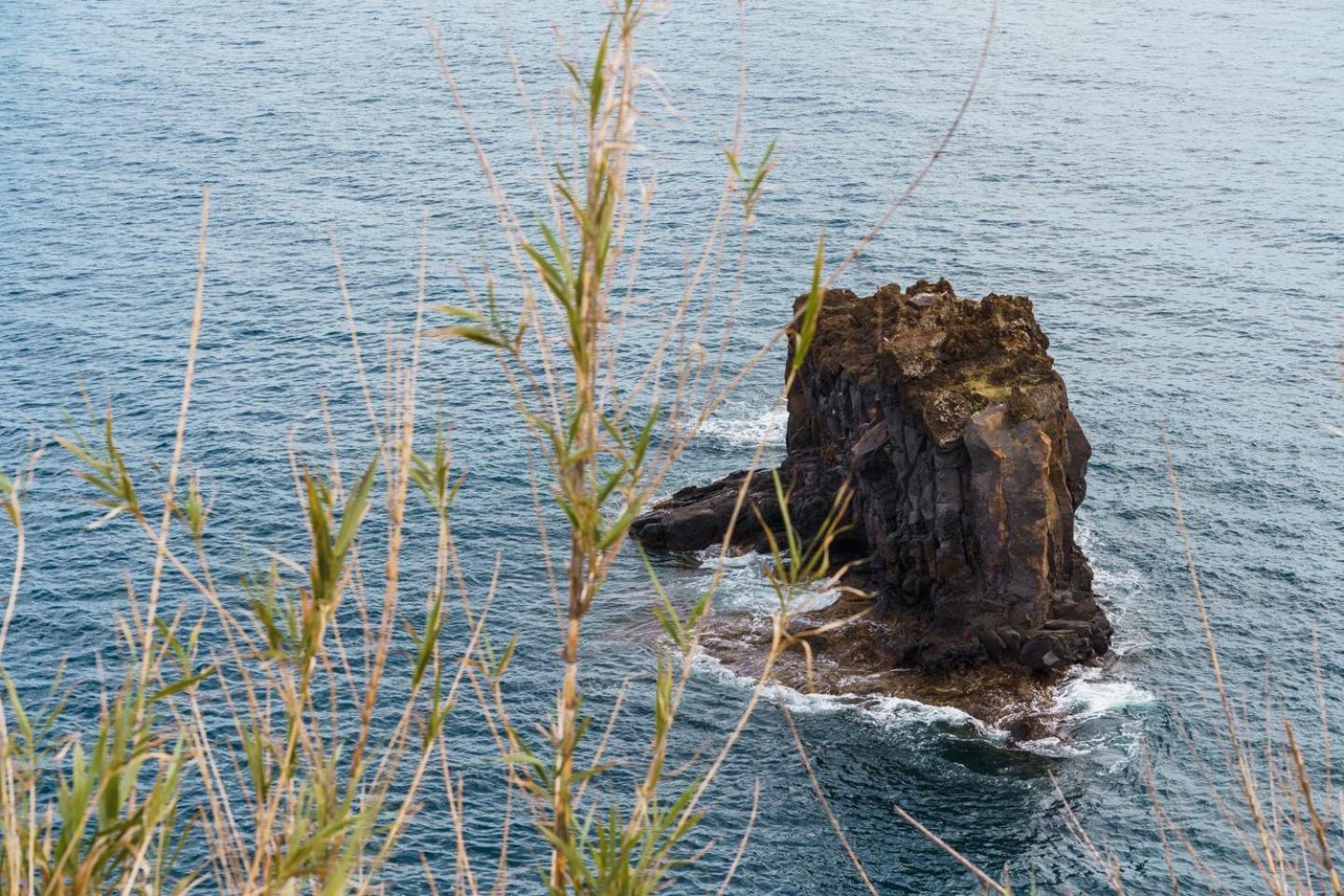 Apartamento Sunny Getaway In Funchal (Madeira)